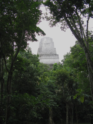 Tikal temple