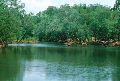 g3/07/621007/3/53807371.CapeYorkWenlockRMoreton.jpg
