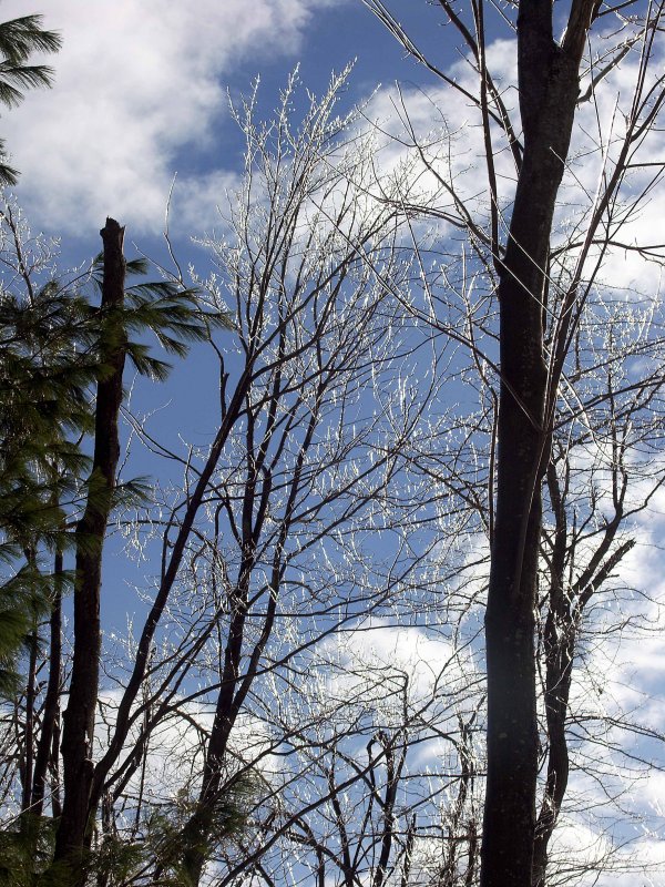 PICT0202.jpg