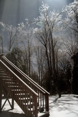 winter-1