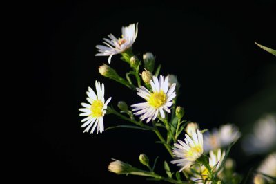 PICT0032