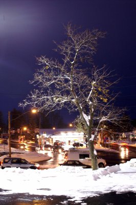 PICT0011.jpg