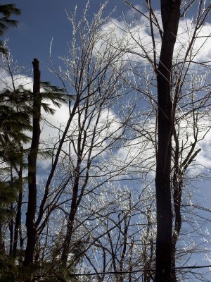 PICT0013.jpg