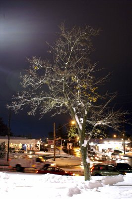 PICT0015.jpg