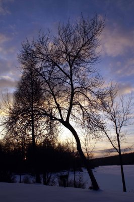 PICT0085.jpg