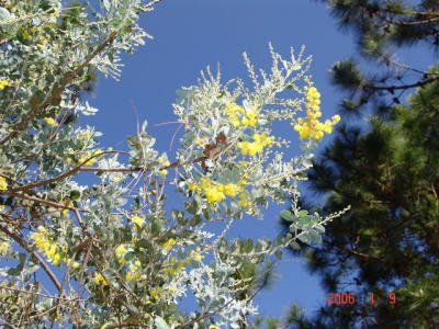 g3/07/639207/3/56179729.DSC00051_ThungLungTinhYeu_RS.jpg