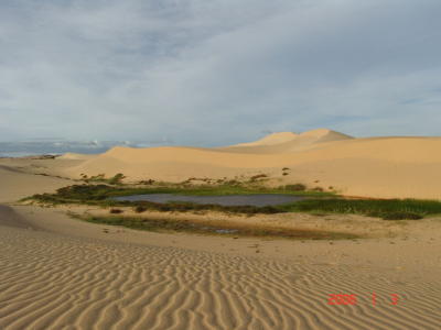 Mũi Né: Ðồi cát Trinh Nữ- DSC02986