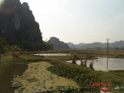 Tam Cốc, Ninh Bình - Hà Ðông