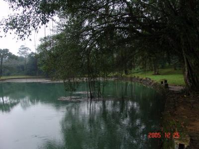 g3/07/639207/3/56475215.DSC00037_LangMinhMang_RS.jpg