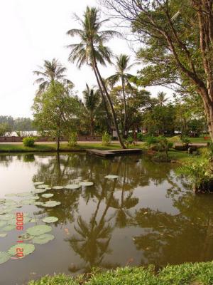 g3/07/639207/3/56560796.DSC00_Soibong_RSS.jpg
