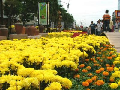 Chợ hoa Nguyễn Huệ ban ngày - DSCF2451