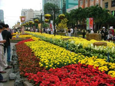Chợ hoa Nguyễn Huệ ban ngày - DSCF532