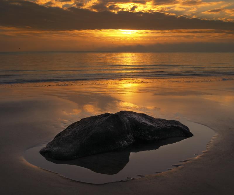 Jekyll Island #410