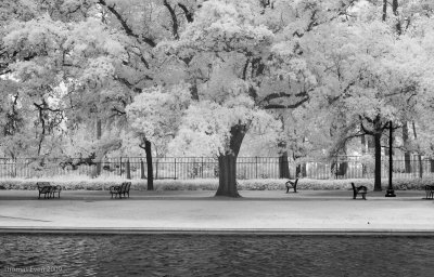 Herman Park Infrared_20010401_2