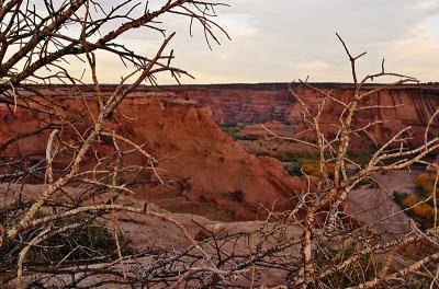 Canyon de Chelly #041