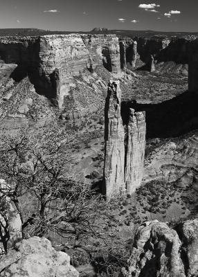 Spider Rock #257 B&W