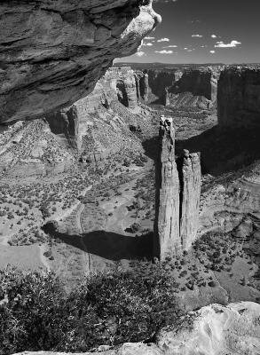 Spider Rock #266 B&W