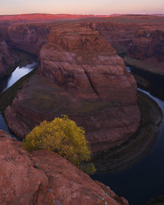 e-Horseshoe-0227.jpg