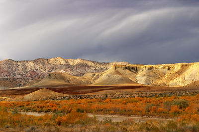 Cottonwood Canyon #314
