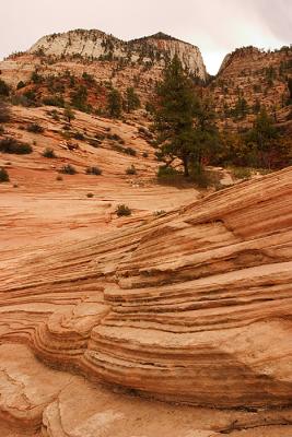 Zion #032