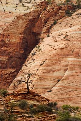 Zion #054