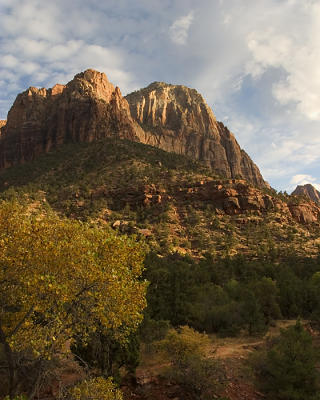 Zion #109