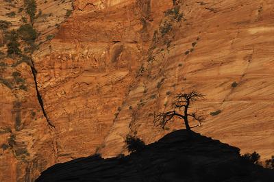 Zion #045