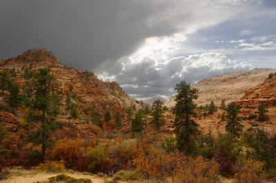 Zion Godlight #1