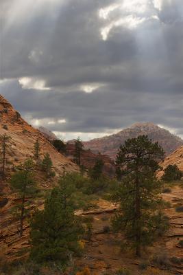Zion Godlight #2