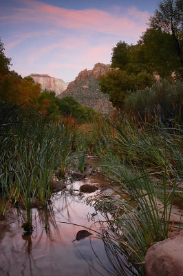 Zion #006