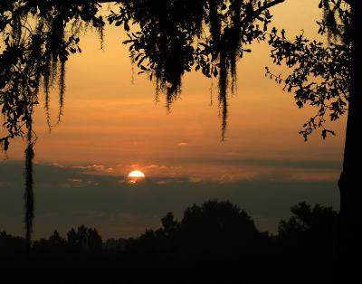 Sunrise Lake Martin