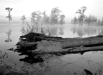LakeMartin #0094 B&W