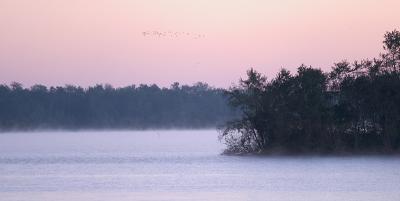 Pastel morning
