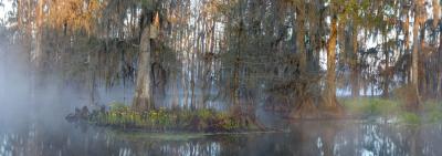 g3/07/640507/3/56269440.CypressFogPano12x34sharp.jpg