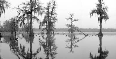 Still waters #1