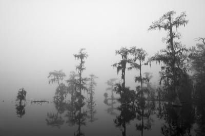 Martin Fog #5