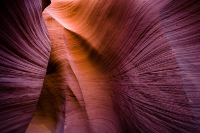 Antelope_20080427_149.jpg