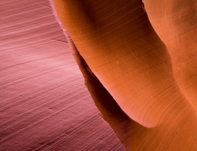 Antelope_20080427_059-2.jpg