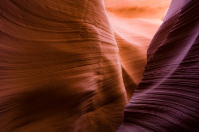 Antelope_20080427_004-2