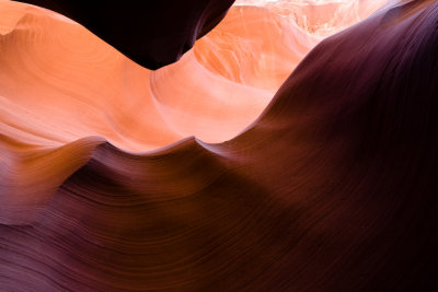 Antelope_20080427_006-2