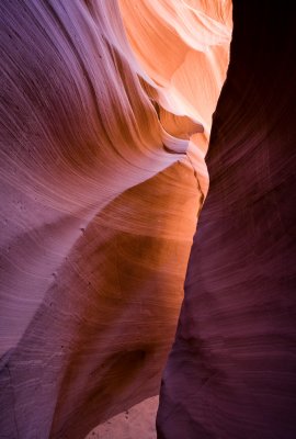 Antelope_20080427_008