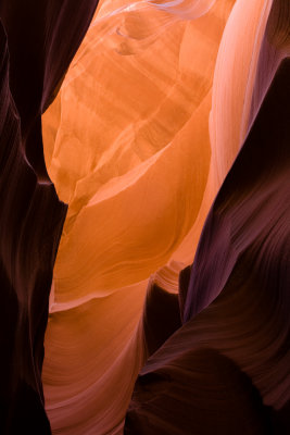 Antelope_20080427_022-2