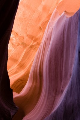Antelope_20080427_035-2