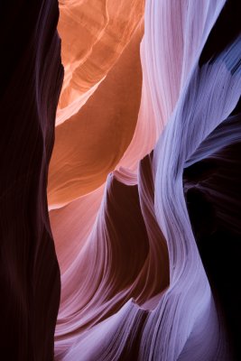 Antelope_20080427_035