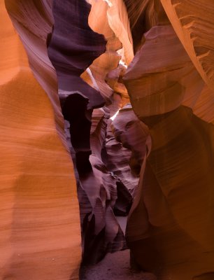 Antelope_20080427_042-2