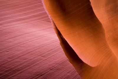 Antelope_20080427_059-2