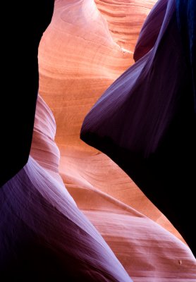 Antelope_20080427_067-2