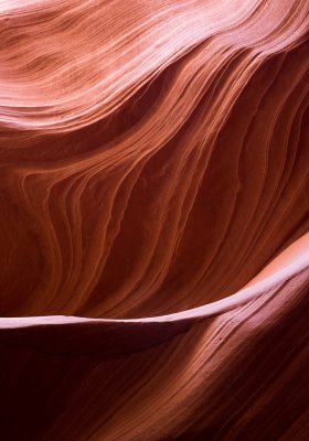 Antelope_20080427_068-2