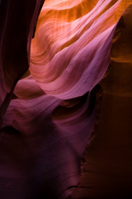 Antelope_20080427_115