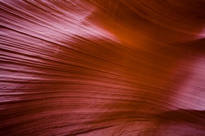 Antelope_20080427_154